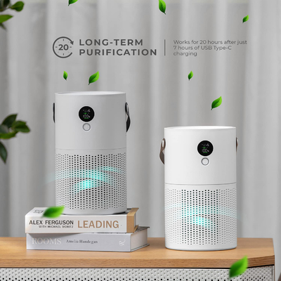 Pet Dander Dust เครื่องฟอกอากาศในครัวเรือน Hepa เครื่องฟอกอากาศสำหรับ Smoke