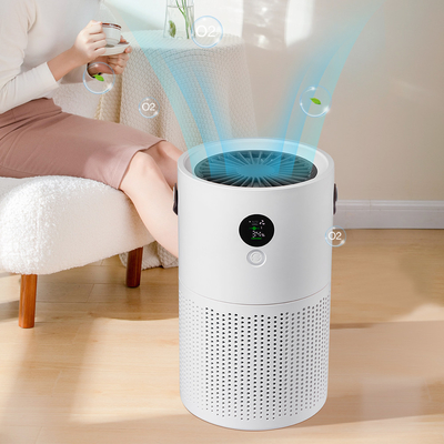 เครื่องฟอกอากาศแบบพกพาในครัวเรือน HEPA H12
