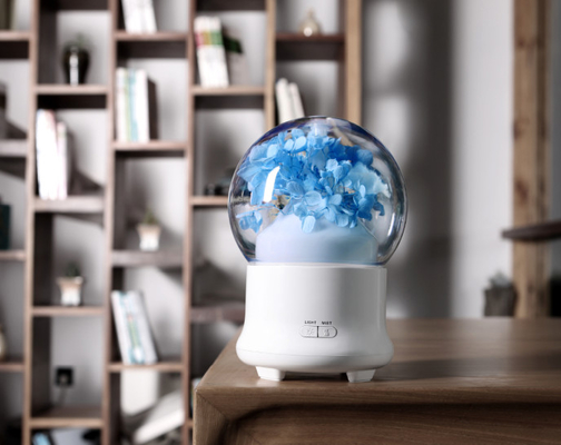 Slim 20ml/H Aroma Oil Diffuser 100ml Cool Mist สำนักงานขนาดใหญ่