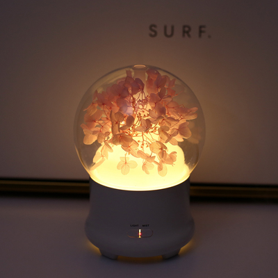 Slim 20ml/H Aroma Oil Diffuser 100ml Cool Mist สำนักงานขนาดใหญ่